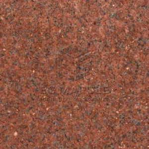 Red Royal